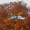 Freundschaftsfliegen Hülben