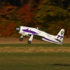 Freundschaftsfliegen Hülben
