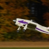 Freundschaftsfliegen Hülben