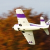 Freundschaftsfliegen Hülben