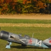 Freundschaftsfliegen Hülben