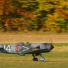 Freundschaftsfliegen Hülben