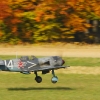 Freundschaftsfliegen Hülben