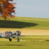 Freundschaftsfliegen Hülben