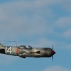 Freundschaftsfliegen Hülben