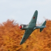 Freundschaftsfliegen Hülben