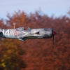 Freundschaftsfliegen Hülben