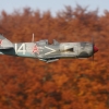 Freundschaftsfliegen Hülben