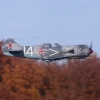 Freundschaftsfliegen Hülben