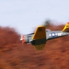 Freundschaftsfliegen Hülben