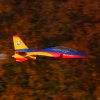 Freundschaftsfliegen Hülben