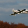Freundschaftsfliegen Hülben