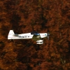 Freundschaftsfliegen Hülben