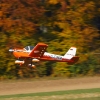 Freundschaftsfliegen Hülben