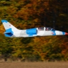 Freundschaftsfliegen Hülben