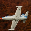 Freundschaftsfliegen Hülben