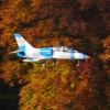Freundschaftsfliegen Hülben