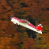 Freundschaftsfliegen Hülben