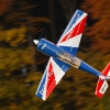 Freundschaftsfliegen Hülben
