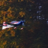 Freundschaftsfliegen Hülben