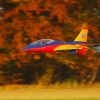 Freundschaftsfliegen Hülben