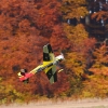 Freundschaftsfliegen Modellflug Huelben