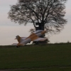 Freundschaftsfliegen Modellflug Huelben