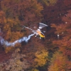 Freundschaftsfliegen Modellflug Huelben