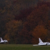 Freundschaftsfliegen Modellflug Huelben