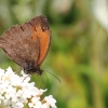 Garten 03.08.2013