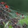 Garten 03.10.2014