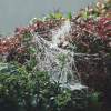 Garten 03.10.2014