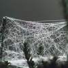 Garten 03.10.2014