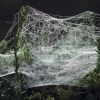Garten 03.10.2014