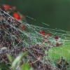 Garten 03.10.2014