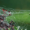 Garten 03.10.2014