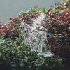 Garten 03.10.2014