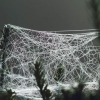 Garten 03.10.2014