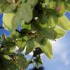 Garten 05.04.2015
