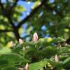 Garten 05.04.2015
