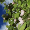 Garten 05.04.2015