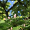 Garten 05.04.2015