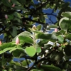 Garten 05.04.2015