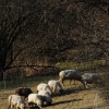 1dfh-05032010-10