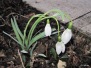 Garten 05.03.2010