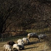 1dfh-05032010-10