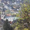 Es blüht 06.04.2014