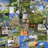 Es blüht 06.04.2014
