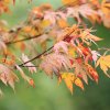Garten 08.10.2016