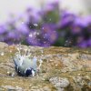 Garten 08.10.2016